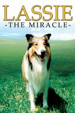 Poster de la película Lassie: The Miracle