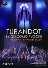 Poster de la película Turandot - Liceu