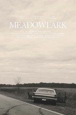 Poster de la película Meadowlark