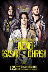 Poster de la película DDT Mission in Battle ~new year splendor~