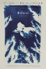 Poster de la película Represa