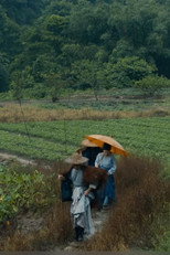 Poster de la serie 罗浮山下