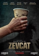 Poster de la película Zevcat