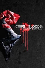 Poster de la película Crips and Bloods: Made in America