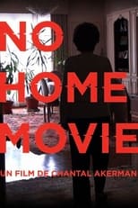 Poster de la película No Home Movie