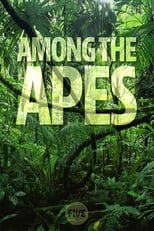 Poster de la serie Among the Apes