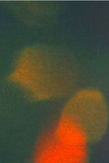 Poster de la película I Decline