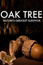 Poster de la película Oak Tree: Nature's Greatest Survivor
