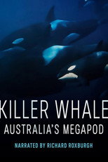 Poster de la película Killer Whale: Australia's Megapod
