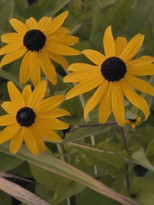 Poster de la película A Message From The Last Summer