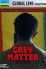 Poster de la película Grey Matter