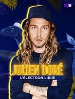 Poster de la película Julien Doré, l'électron libre