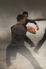 Poster de la película Lost Action: Trace