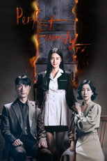 Poster de la serie Perfect Family