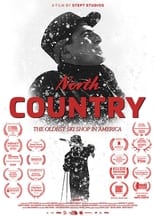 Poster de la película North Country