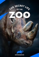 The Secret Life of the Zoo