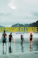 Poster de la película Le phasme et l'ortie