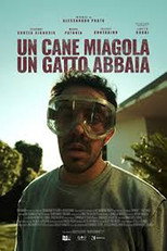 Poster de la película A Dog Meow, a Cat Barks