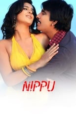 Poster de la película Nippu