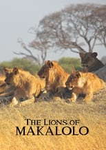 Poster de la película The Lions of Makalolo