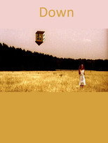 Poster de la película Down
