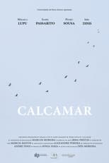 Poster de la película Calcamar