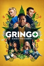 Poster de la película Gringo: Se busca vivo o muerto