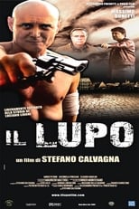 Poster de la película Il Lupo