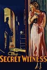 Poster de la película The Secret Witness