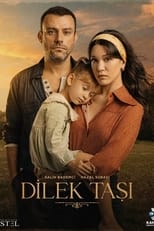 Poster de la serie Dilek Taşı