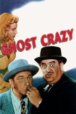 Poster de la película Crazy Knights