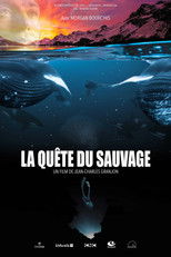 Poster de la película La Quête du sauvage