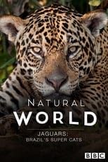 Poster de la película Jaguars: Brazil's Super Cats