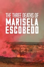 Poster de la película The Three Deaths of Marisela Escobedo