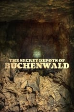 Poster de la película The Secret Depots of Buchenwald