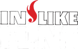 Logo In Like Flint