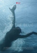 Poster de la película Into the Blue