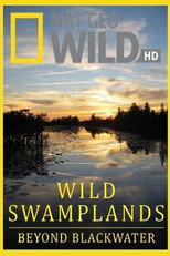 Poster de la serie Wild Swamplands