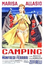 Poster de la película Camping