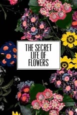 Poster de la película The Secret Life of Flowers