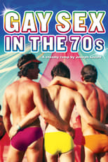 Poster de la película Gay Sex in the 70s
