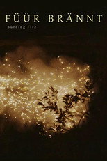 Poster de la película Burning Fire