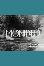 Poster de la película Monidło