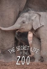 The Secret Life of the Zoo