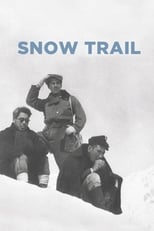 Poster de la película Snow Trail