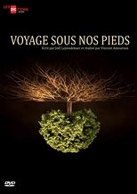 Poster de la serie Voyage sous nos pieds