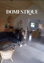 Poster de la película Domestique