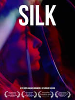 Poster de la película Silk