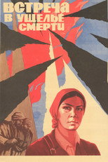 Poster de la película Meeting in the Gorge of Death