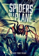Poster de la película Spiders on a Plane